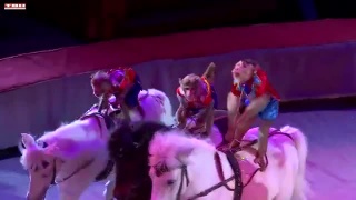«Экзотик - шоу Алеврувер» в Новокузнецком цирке