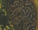 Выставка подсолнуха в Гоголевке