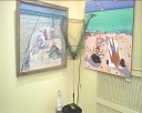 «Рыбный день» в галерее «2 Суворова»