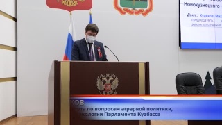 Областные депутаты рассмотрели зеленый щит Новокузнецка