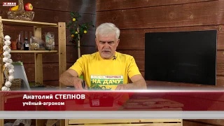 Анонс программы «Вперед, товарищи! На дачу!» от 11.04.23