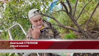 Анонс программы «Вперед, товарищи! На дачу!» от 10.09.24