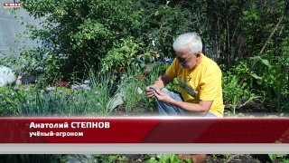 Анонс программы «Вперед, товарищи! На дачу!» от 27.06.23