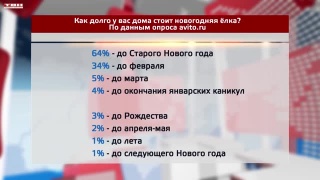 5% сибиряков не убирают елку до марта