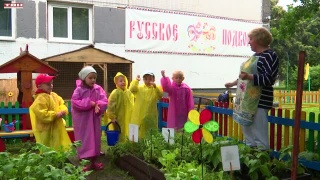 Огород в детском саду. Трудовое воспитание