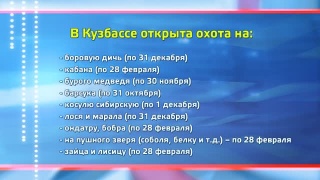 Сроки охоты до 28 февраля