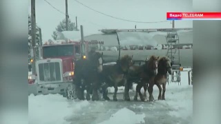 Позитив на выходные 19.12-20.12