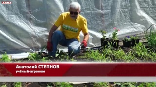 Анонс программы «Вперед, товарищи! На дачу»