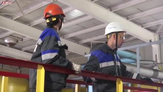 5 июня – День эколога