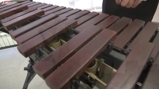 ДШИ №55 вновь радует победами! 