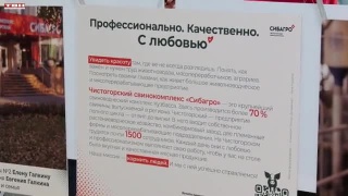 Фотовыставка от Чистогорского свинокомплекса Сибагро