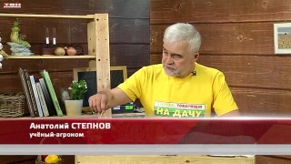 Анонс программы «Вперед, товарищи! На дачу!» от 07.03.23