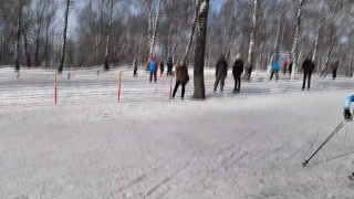 Победы в лыжных гонках