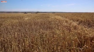 Идет уборка урожая