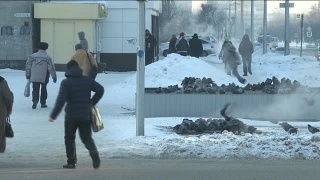 Соцнорму по электричеству пока не вводят