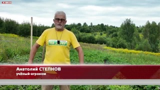 Анонс программы «Вперед, товарищи! На дачу!» от 11.08.26