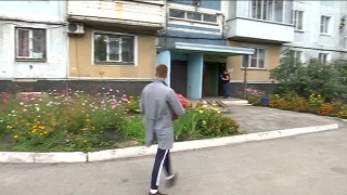 Овощные наборы разносят по домам