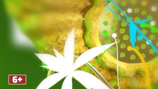 Кулинарная магия. Выпуск 20.03.19 г. Кулинарная магия. Выпуск 20.03.19 г.