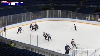 «Кузнецкие Медведи» забили 6 шайб «Рысям»