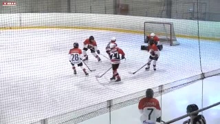 Первенство Сибири по хоккею