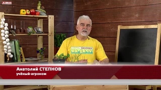 Анонс программы «Вперед, товарищи! На дачу!» от 02.04.04