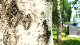 Некоторые темы выпуска 11 января
