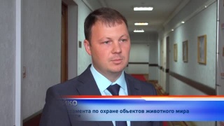 Дроны против браконьеров