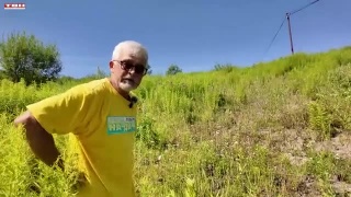 Анонс программы «Вперед, товарищи! На дачу!» от 08.07.25