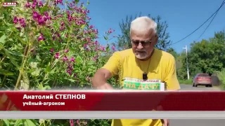 Анонс программы «Вперед, товарищи! На дачу!» от 04.08.26