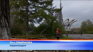 В сквере Выпова начались работы