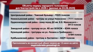 Неделя на голосование за объекты благоустройства 2026