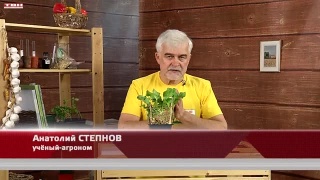 Анонс программы «Вперед, товарищи! На дачу!» от 18.04.23