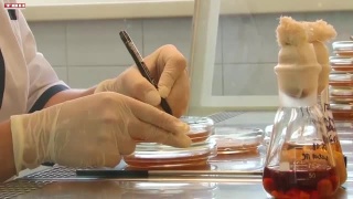 Студенческий стартап