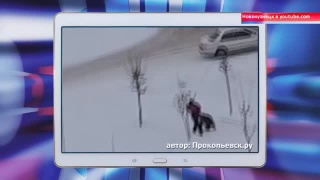 Новокузнецк в ютубе. 23.11-30.11