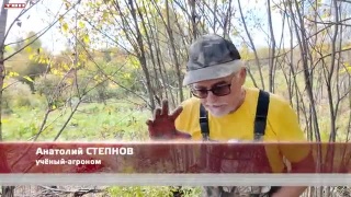 Анонс программы «Вперед, товарищи! На дачу!» от 23.09.25