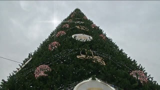 Посмотрели районные елки