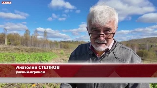 Анонс программы «Вперед, товарищи! На дачу!» от 29.09.26