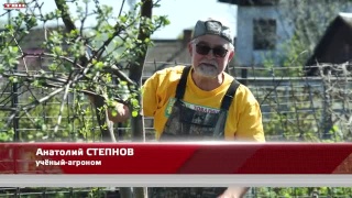 Анонс программы «Вперед, товарищи! На дачу!» от 14.05.24