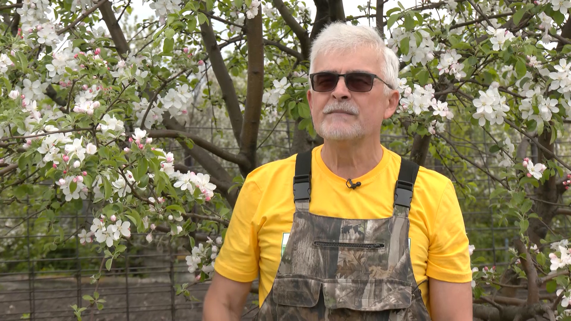 Вперед, товарищи! На дачу!