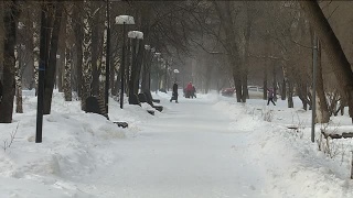 Площадки для вывоза снега переполнены