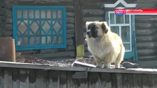 Особый противопожарный режим. Итоги 