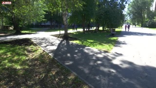 В Новокузнецке стартовала череда осенних посадок