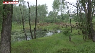 «Утиное озеро» на разъезде Абагуровский