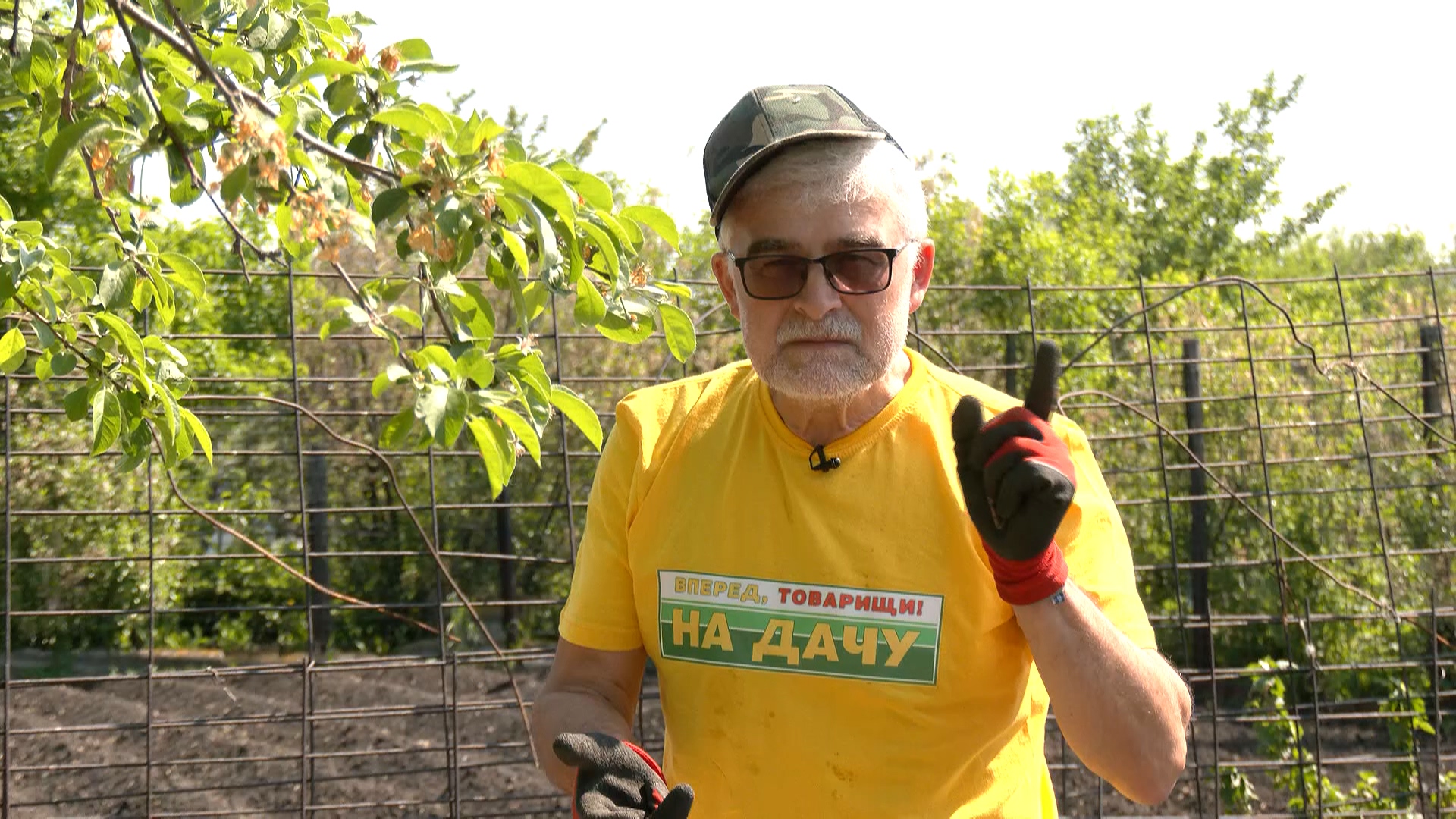 Вперед, товарищи! На дачу!