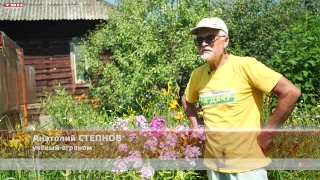 Анонс программы «Вперед, товарищи! На дачу!» от 16.07.24