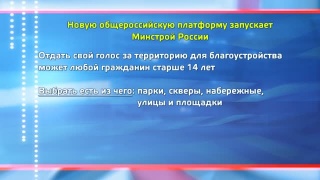 Волонтеры и предстоящее голосование за благоустройство