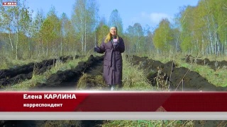 В субботу Goodline зовет на экологическую акцию
