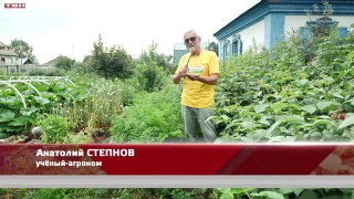 Анонс программы «Вперед, товарищи! На дачу!» от 25.07.23