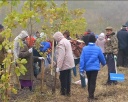 В Новокузнецке заложили лес Победы