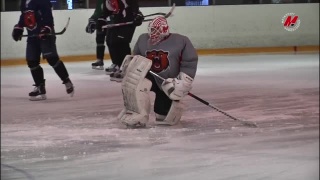 «Медведи» 9 и 10 августа сыграют дома